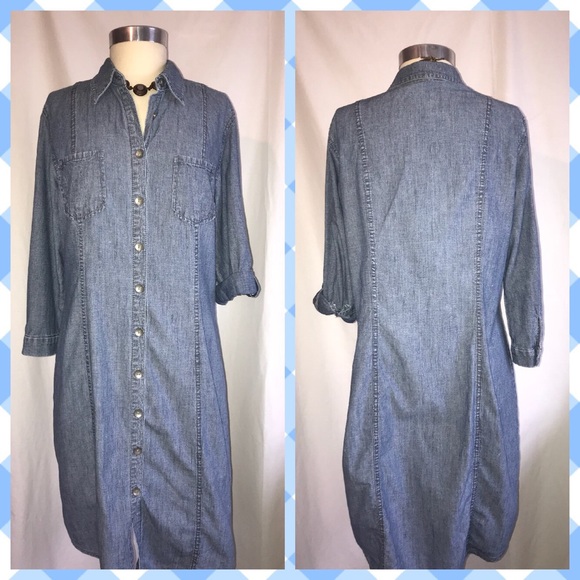 coldwater creek denim dress